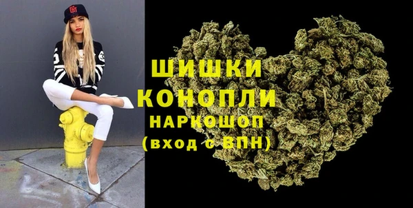 амф Богородицк